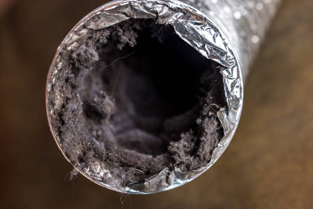Best Duct Cleaning Specialists  in Progress Village, FL